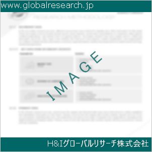 グローバルリサーチ調査資料のイメージ